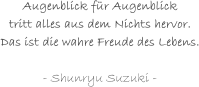 - Shunryu Suzuki -